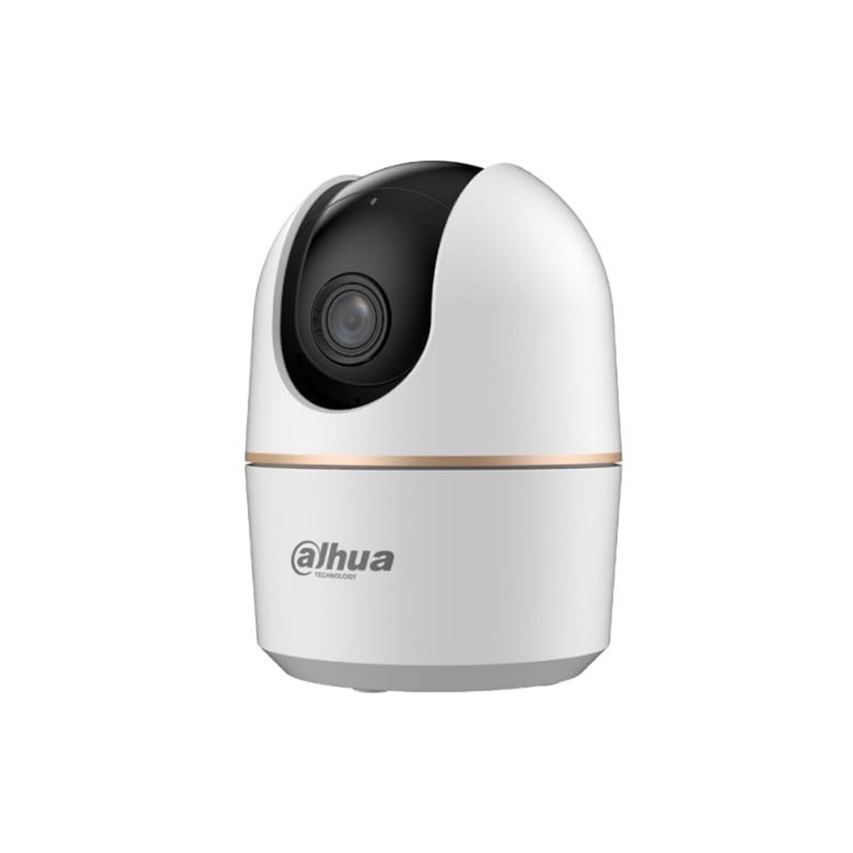 dahua camera